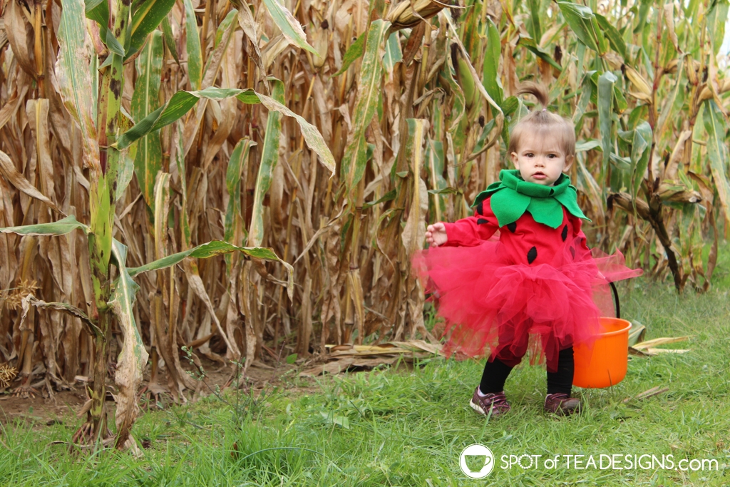 Strawberry baby!  Unique kids halloween costume, Halloween costumes for  kids, Diy halloween costumes for kids